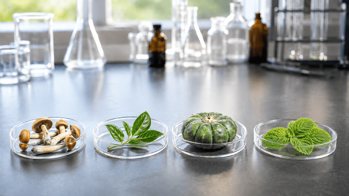 Psychedelics: The Search For Miracle Medicines